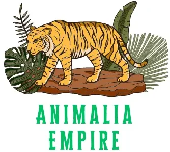 Discover all type of animals at animalia empire