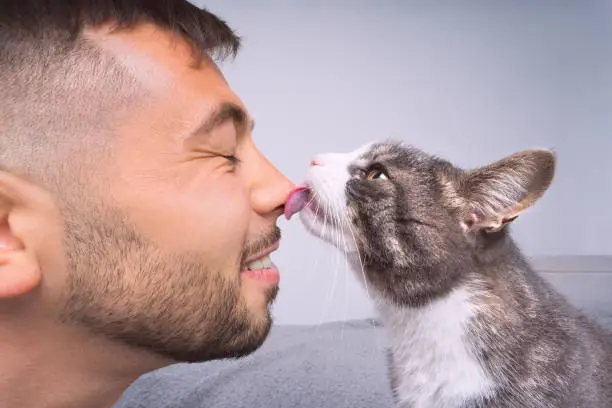 Why Does My Cat Lick My Nose?